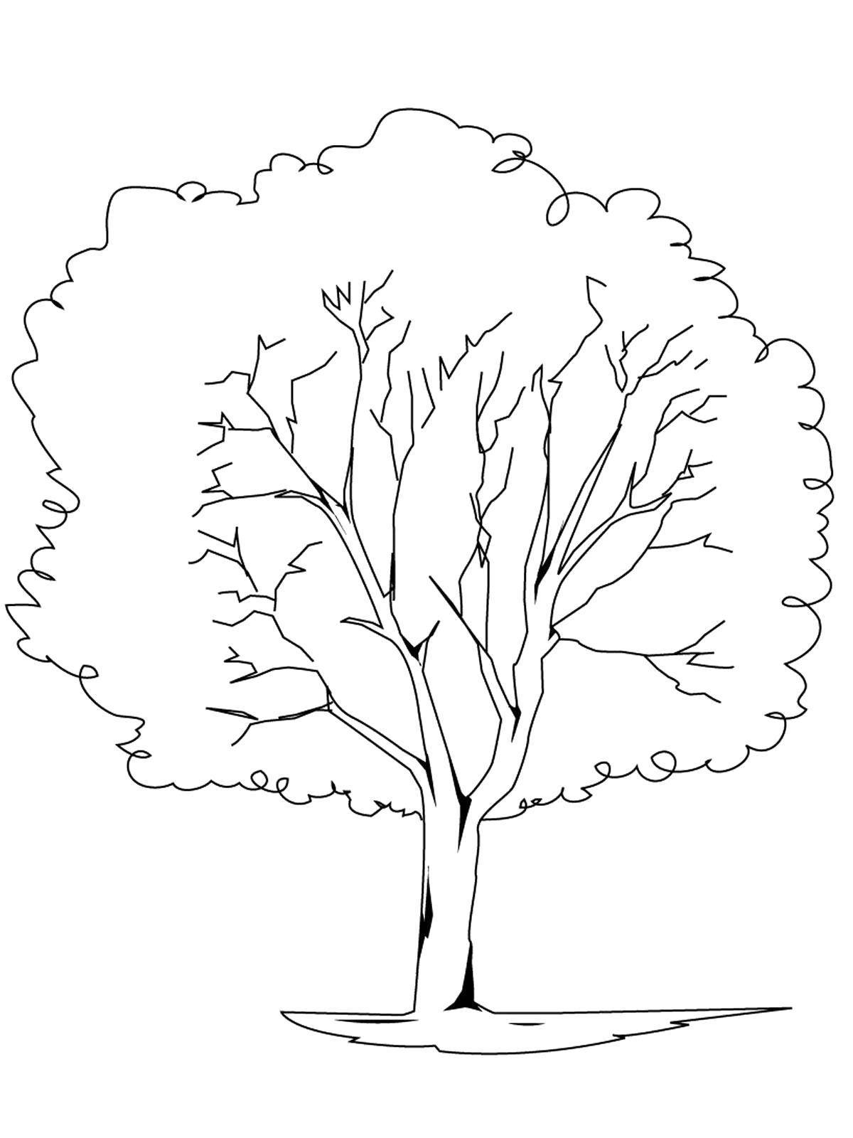 Amazing tree coloring page for kids