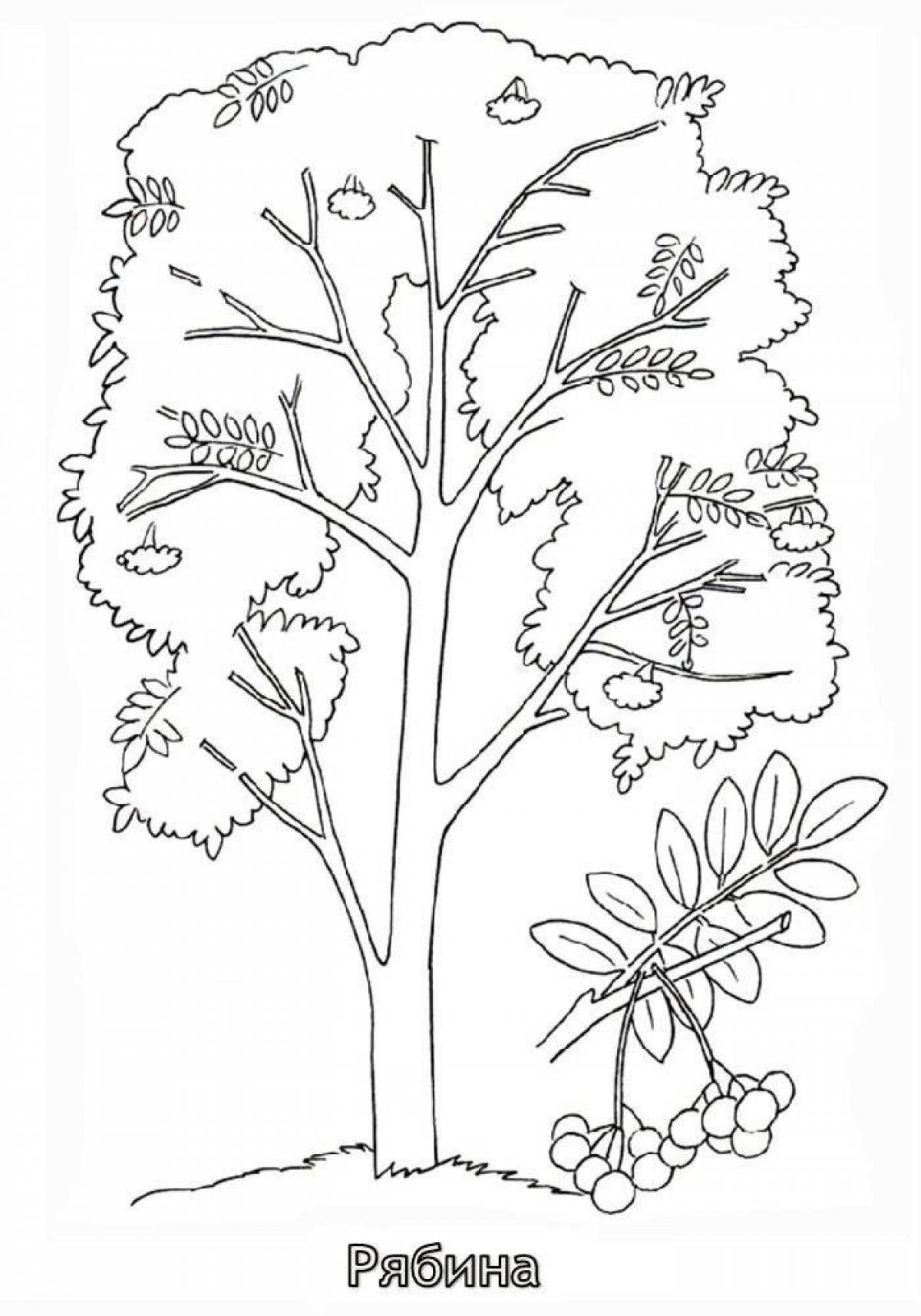 Exciting tree coloring for kids