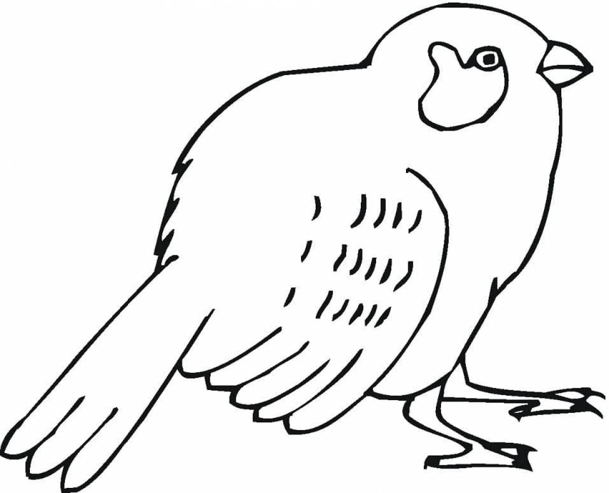 Bright sparrow coloring book for kids