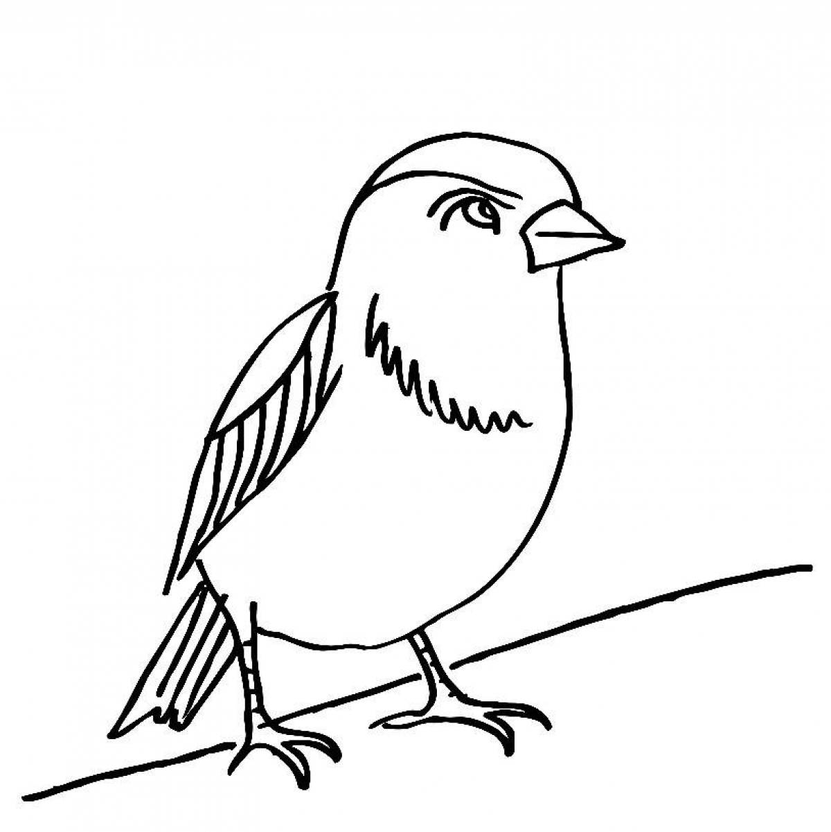 Fun coloring book sparrow for kids