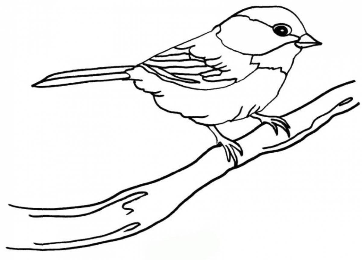 Awesome sparrow coloring book for kids