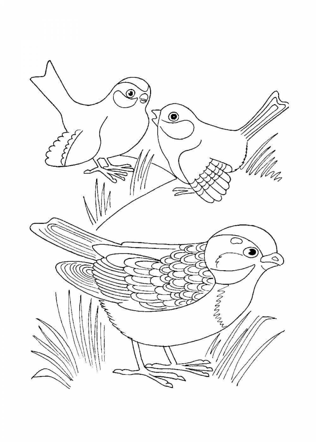 Majestic sparrow coloring book for kids