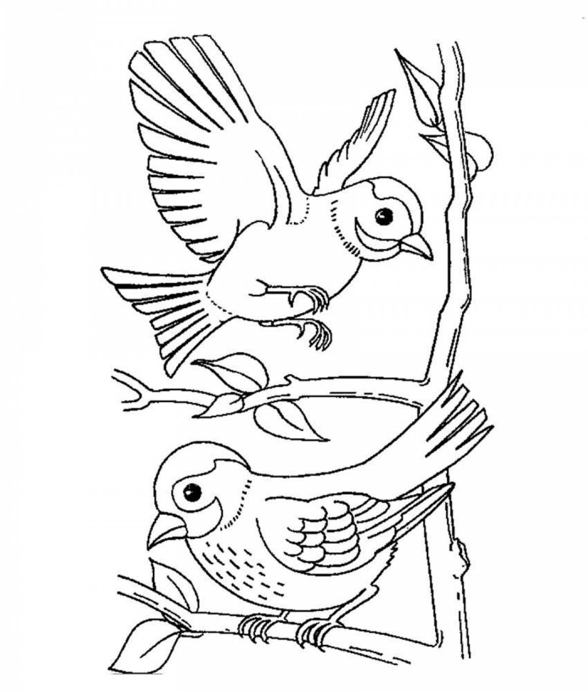 Shiny sparrow coloring book for kids