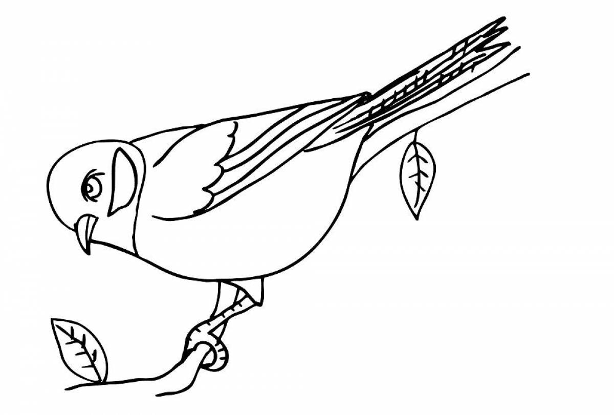 Colorful tit coloring page for kids