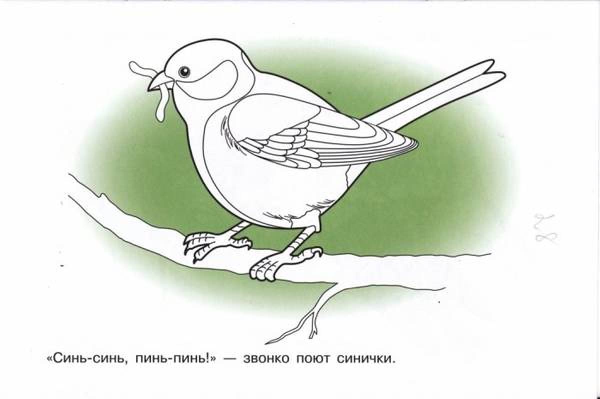 Sweet tit coloring page for kids