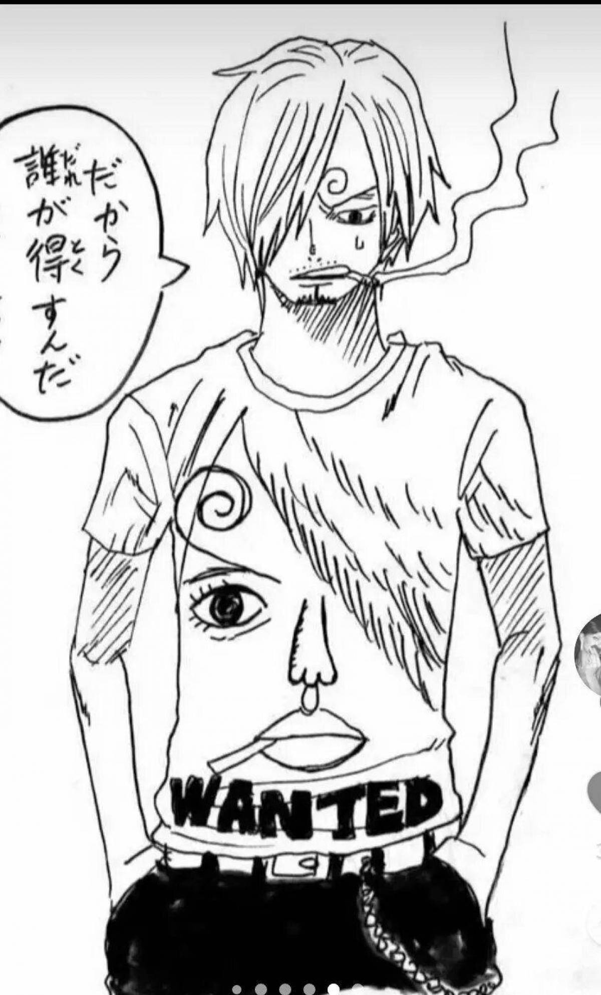 Sanji's incredible coloring book