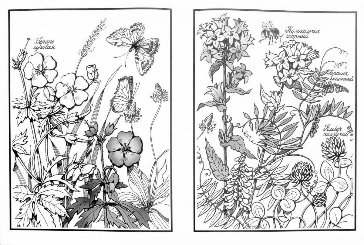 Очаровательная страница раскраски ботаники