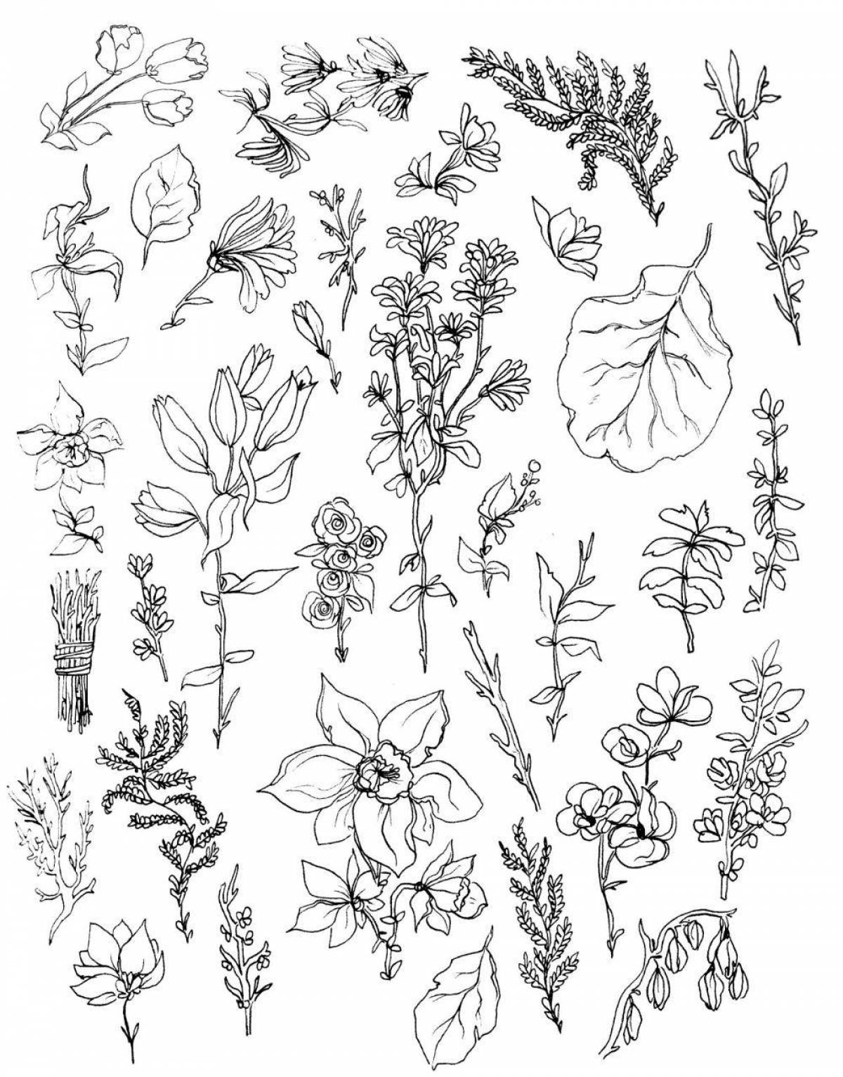 Playful botany coloring page