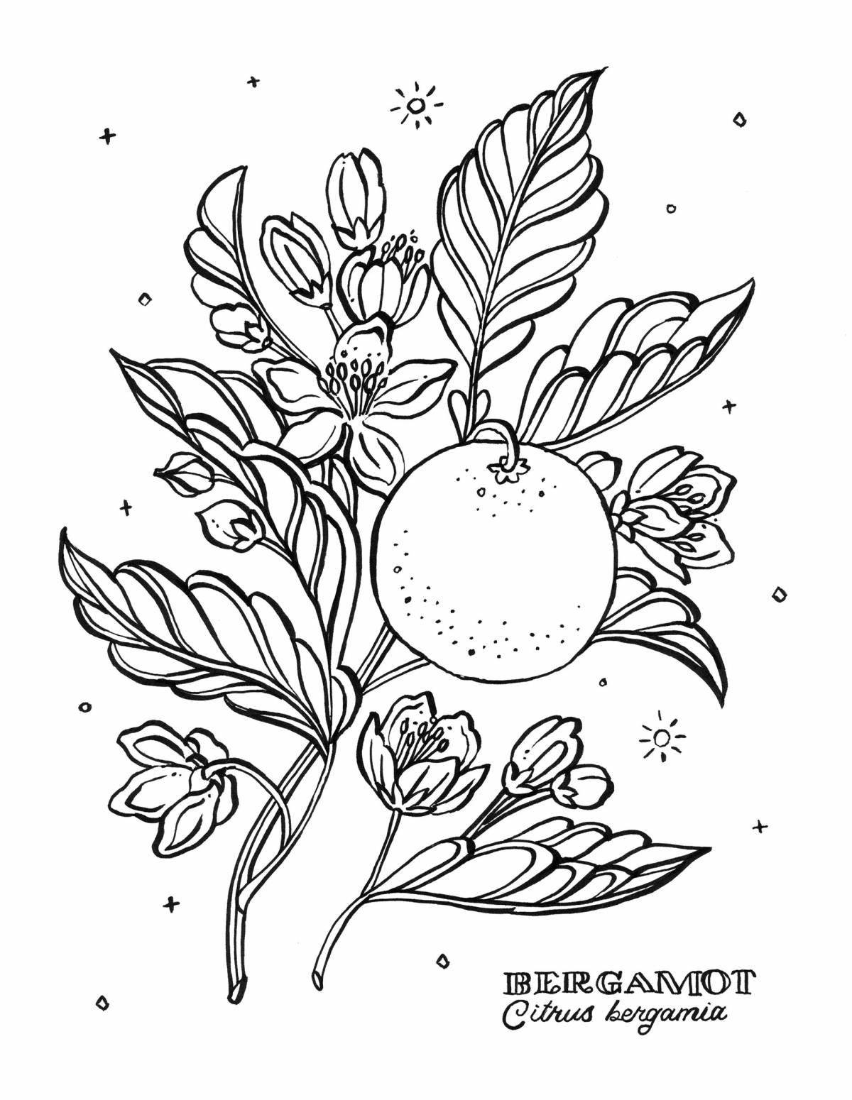 Fabulous botany coloring page