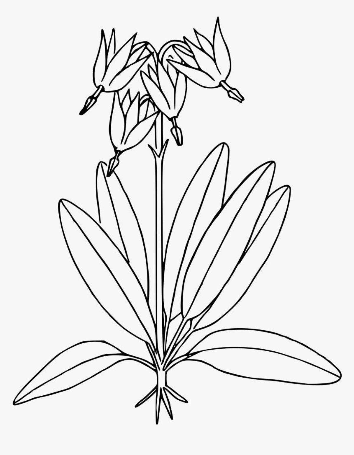 Awesome botany coloring page