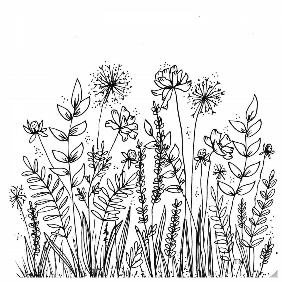 Botanical inspirational coloring book