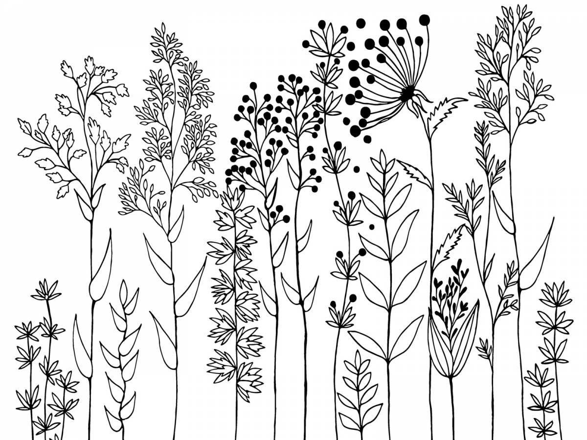 Detailed botany coloring page