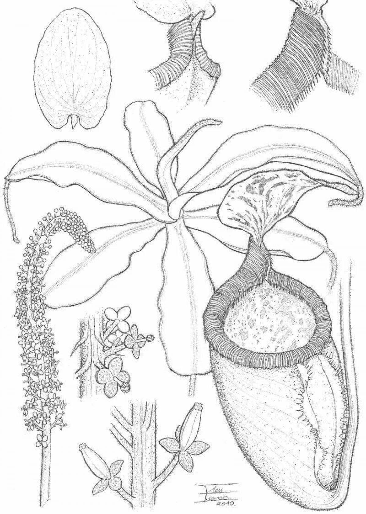 Coloring complex botany