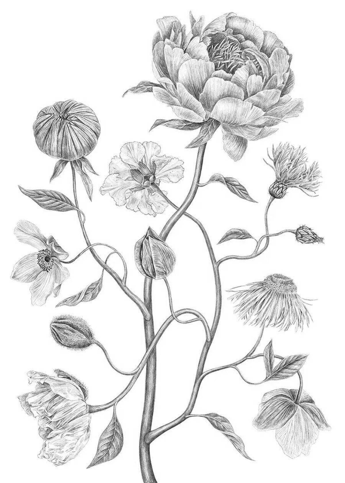 Увлекательная страница раскраски ботаники