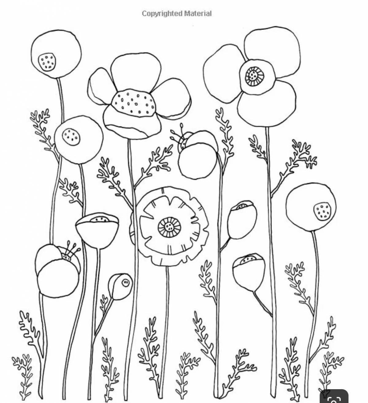 Attractive botany coloring page