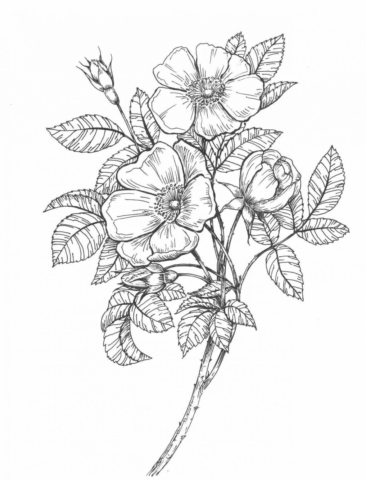 Amazing botany coloring page