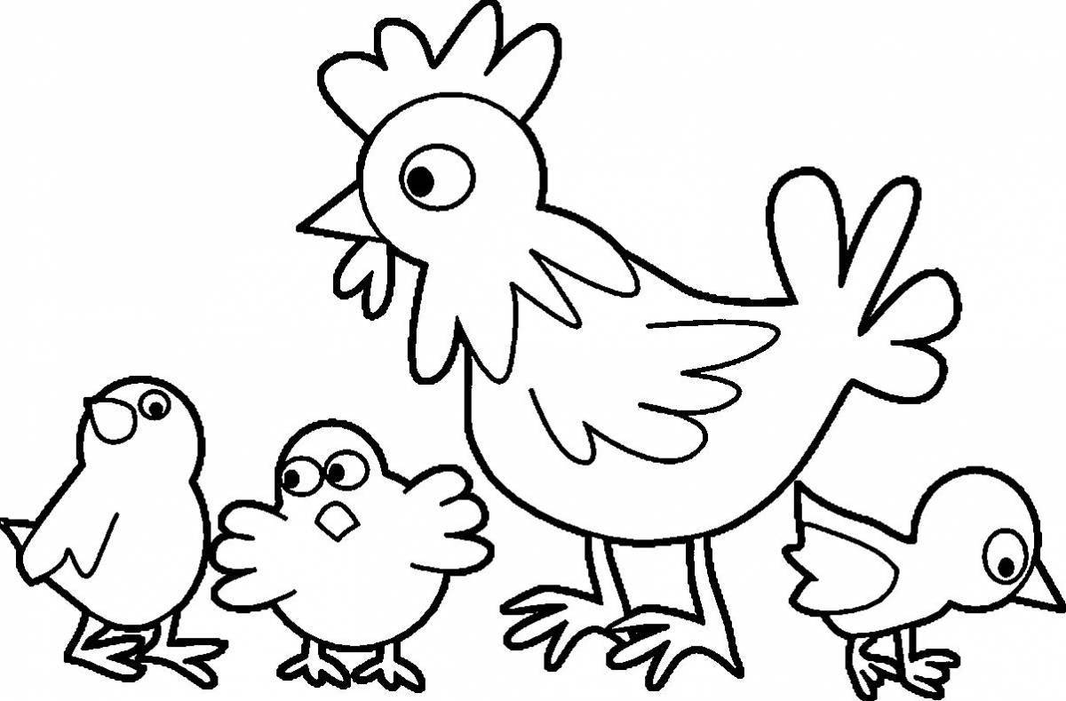 Coloring page beautiful chicken ghana
