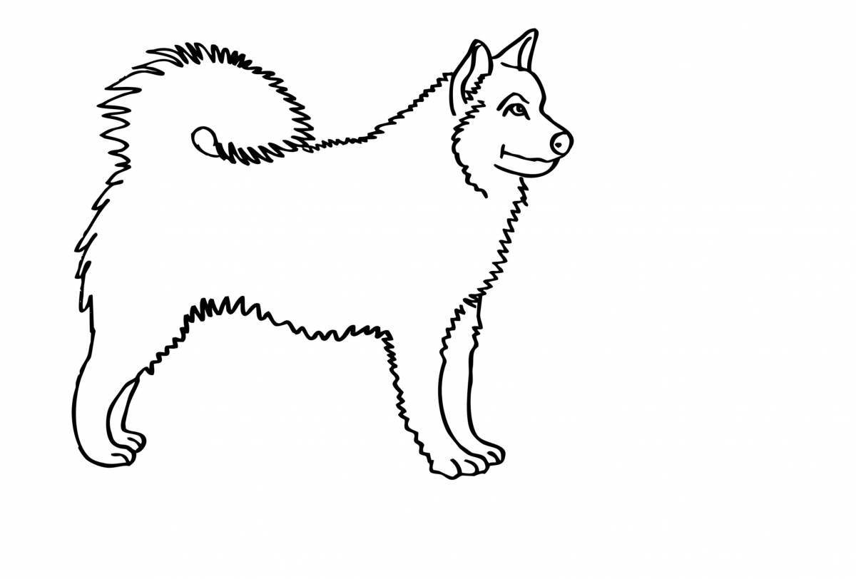 Adorable Husky kitten coloring book