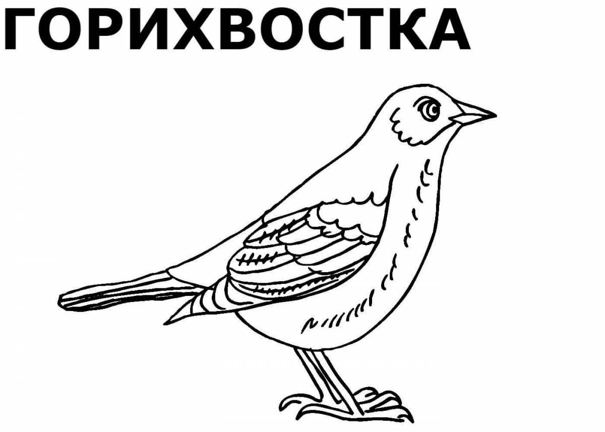 Очаровательная русская птица-раскраска
