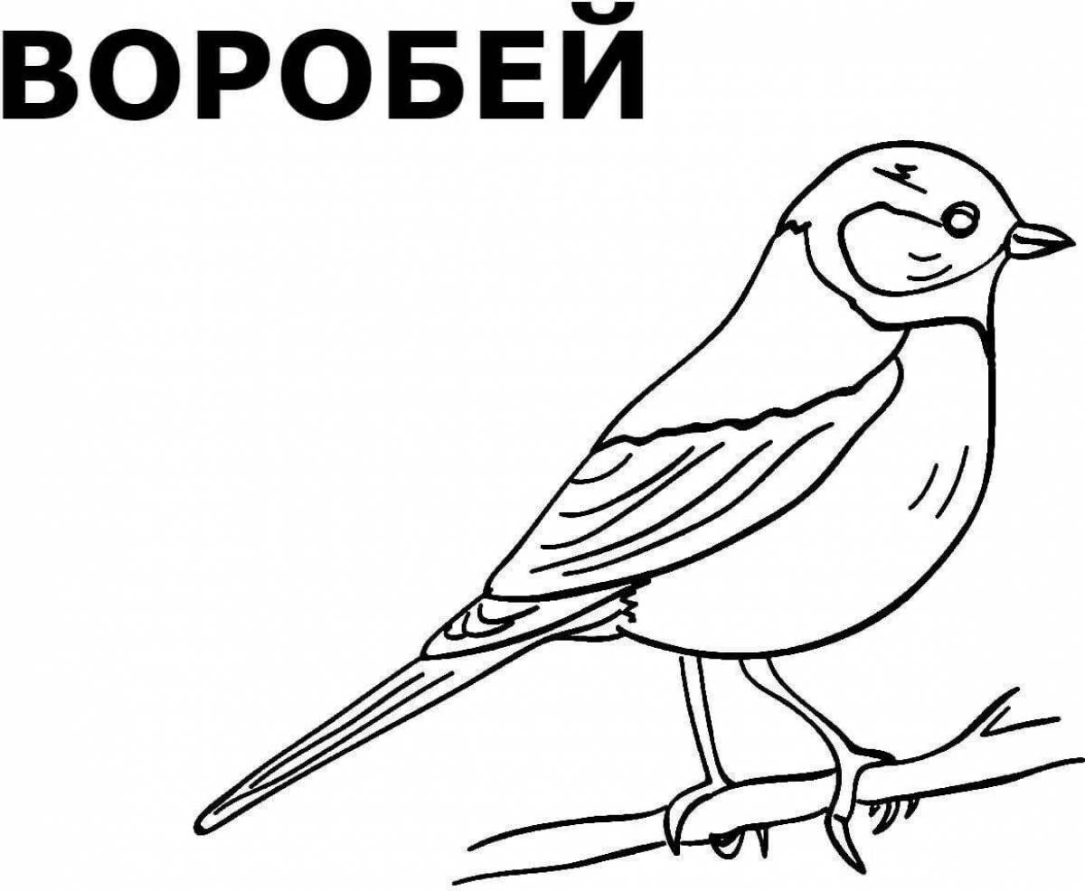 Изящная русская птица раскраска