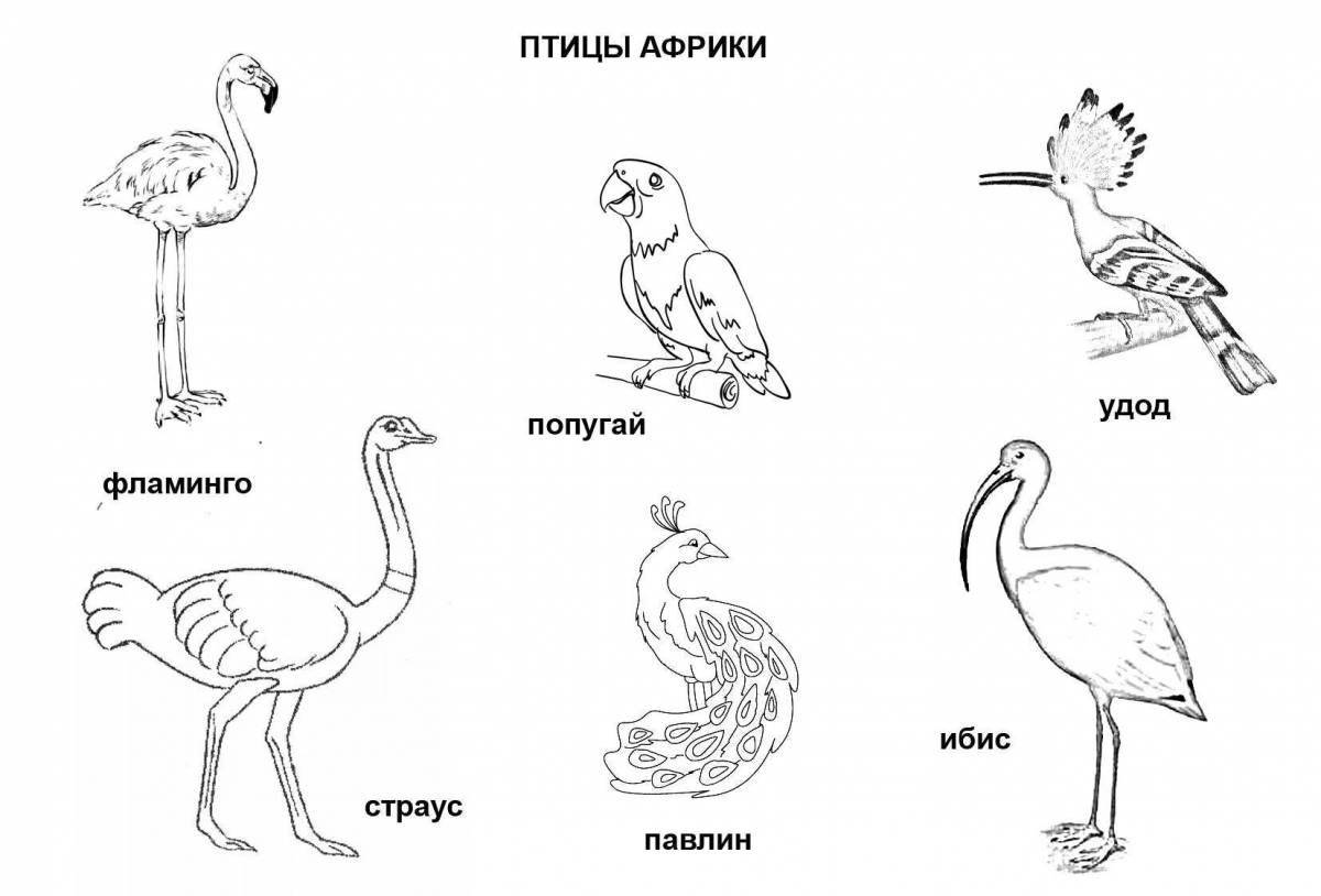 Элегантная русская птица раскраска