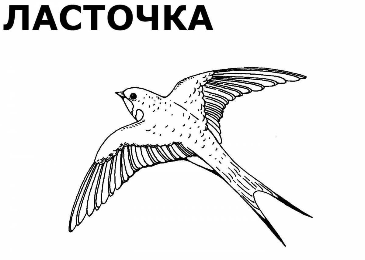 Изысканная русская птица раскраска