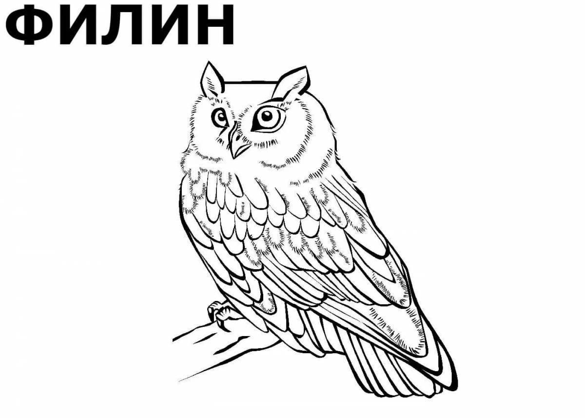 Раскраска лучистая русская птица