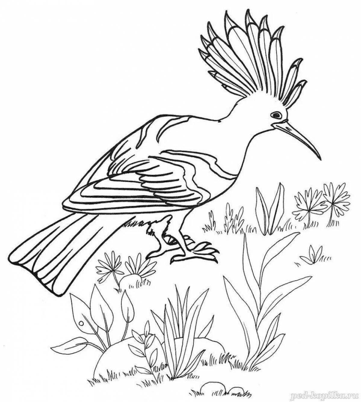 Dazzling Russian bird coloring book