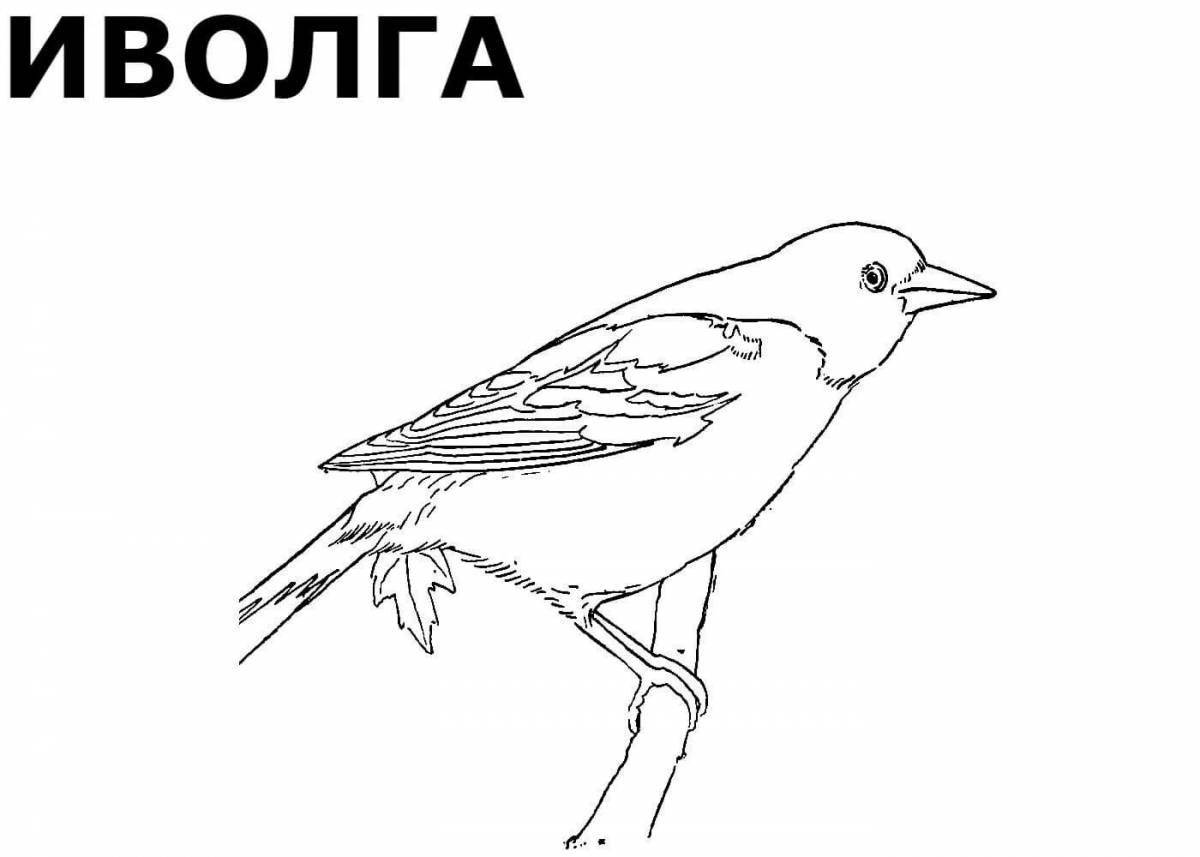 Jolly russian bird coloring book