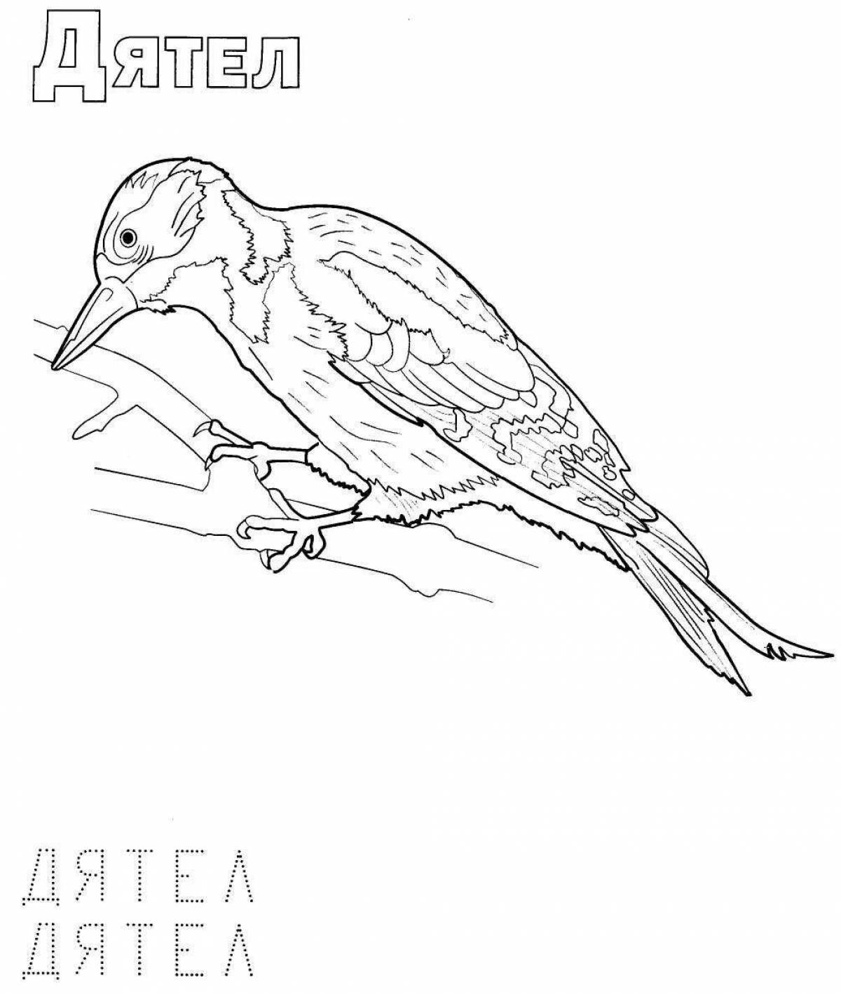 Fancy russian bird coloring book