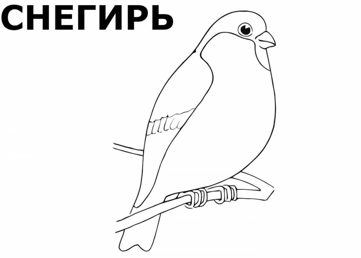 Интригующая русская птица раскраска