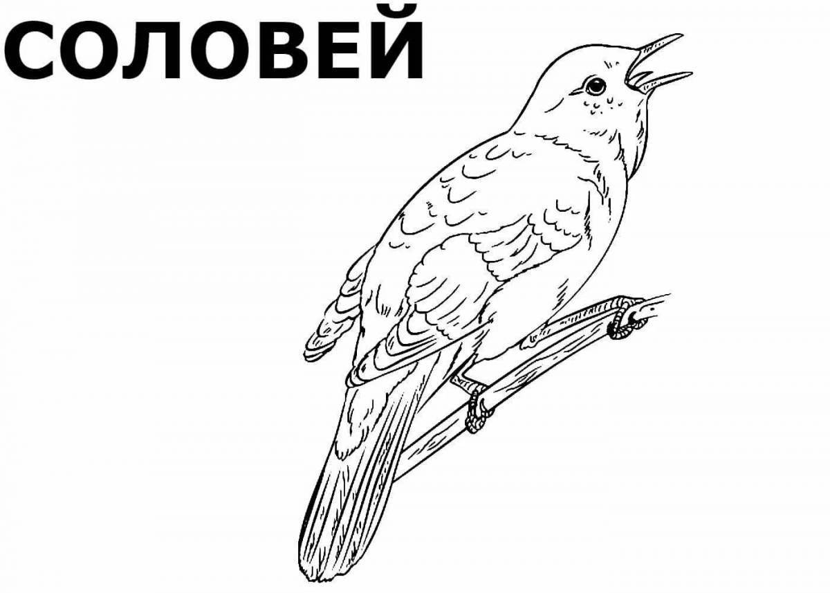 Мистическая русская птица раскраска
