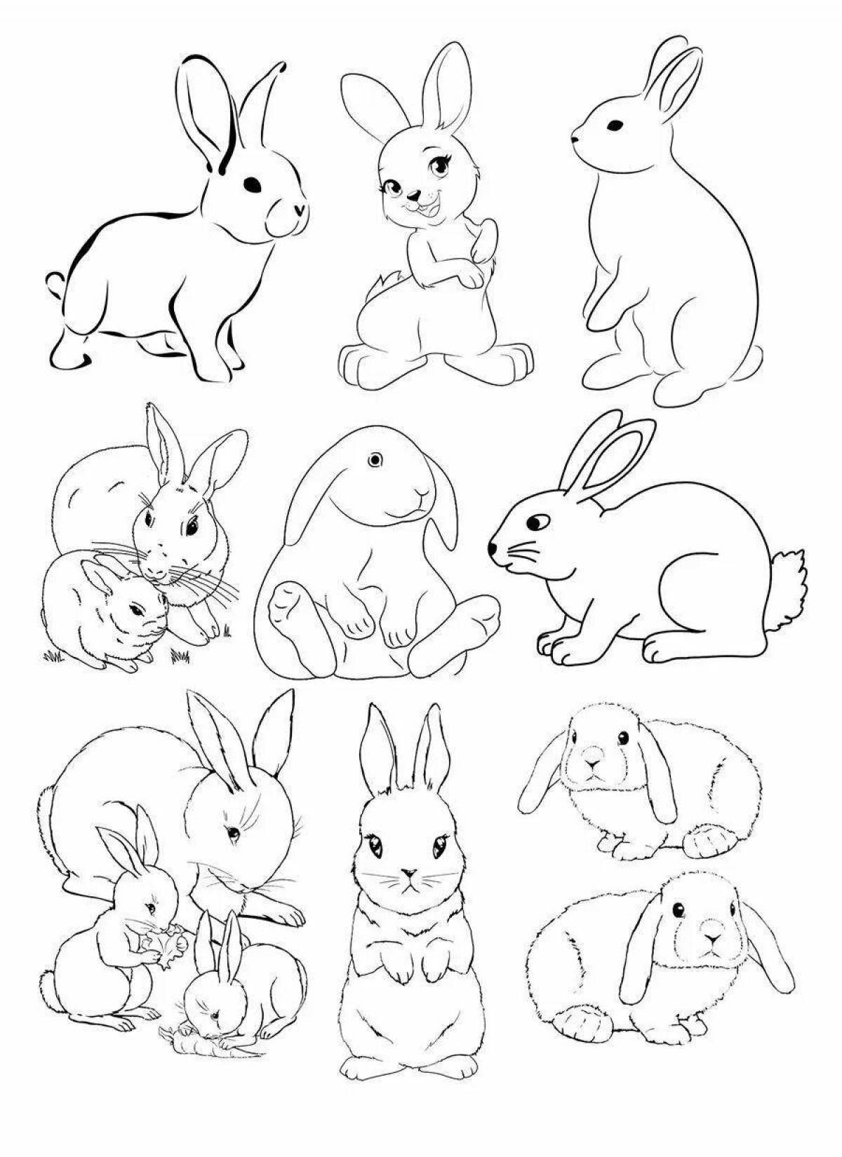 Очаровательная раскраска маленькие кролики