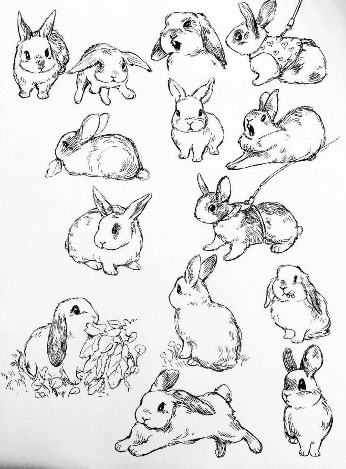 Резвящиеся раскраски маленькие кролики