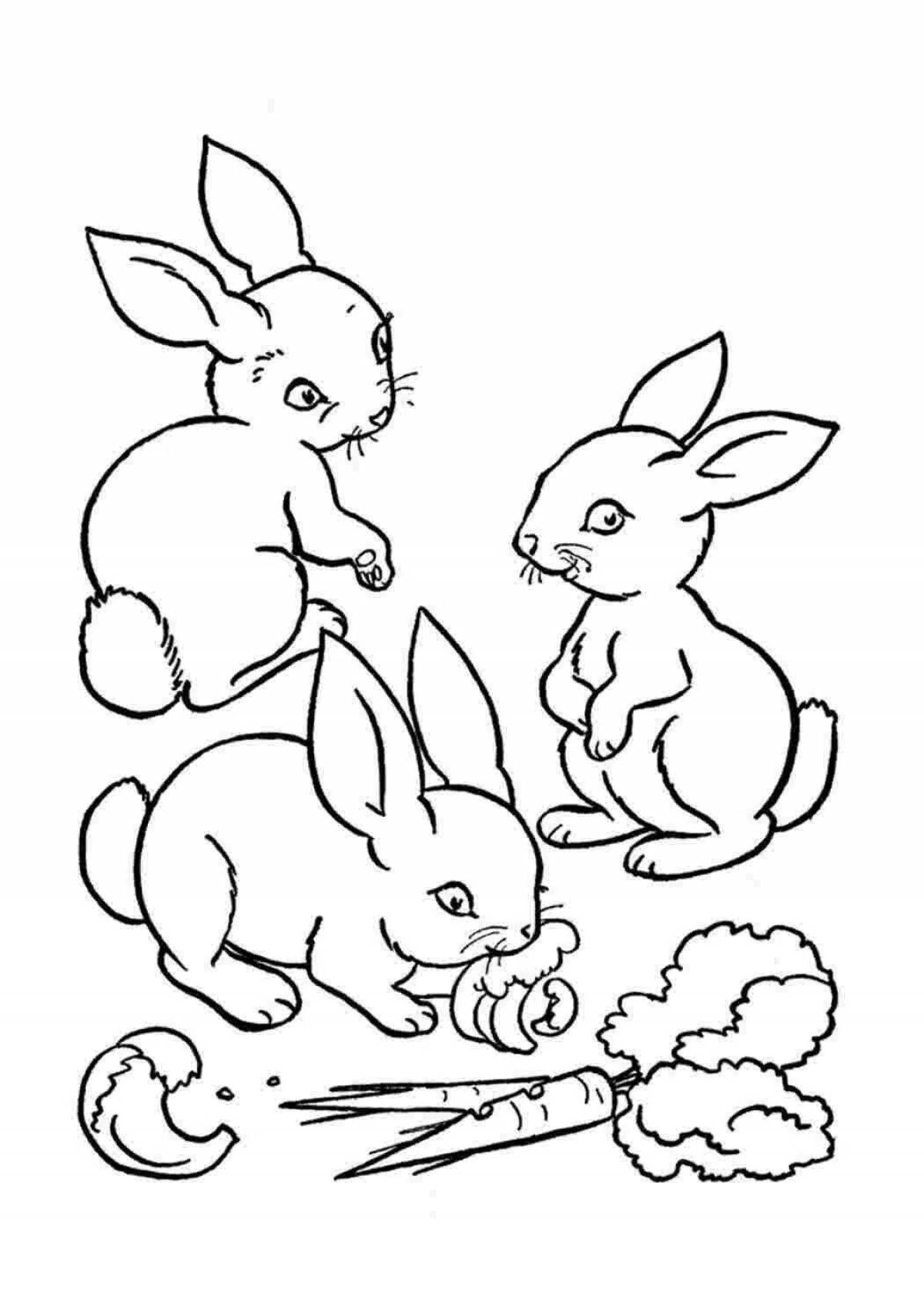 Живая раскраска маленькие кролики