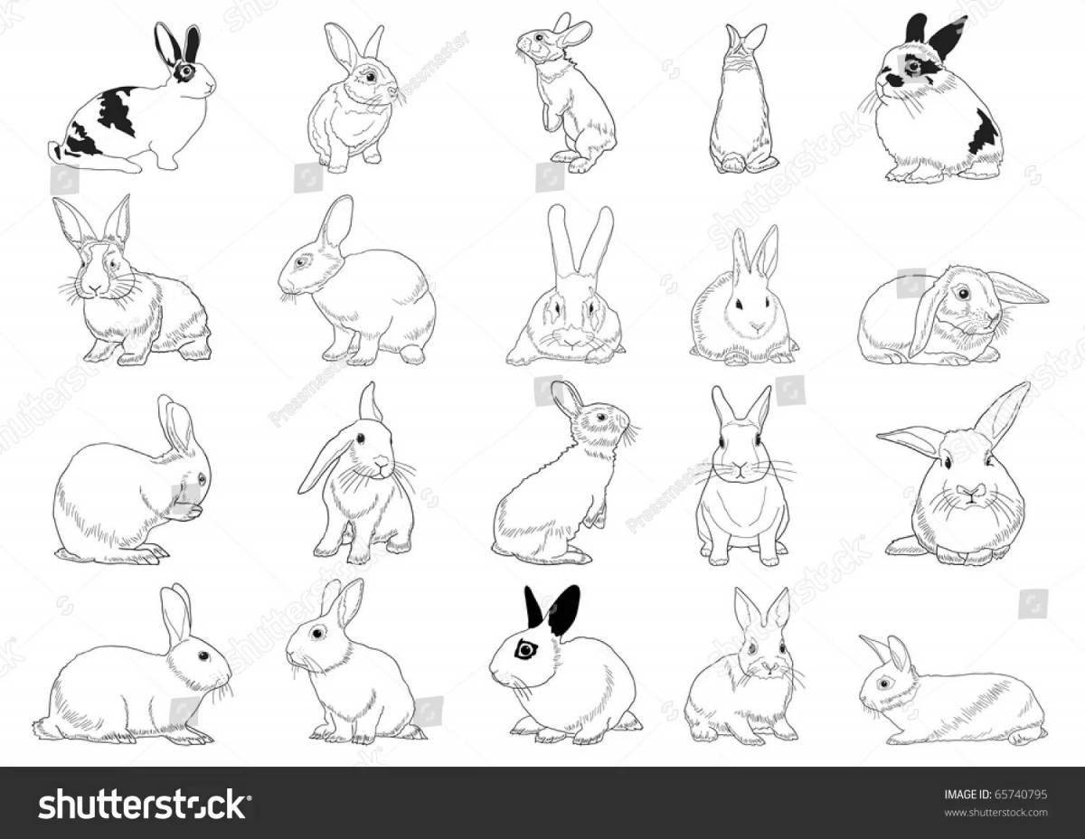 Причудливая раскраска маленькие кролики