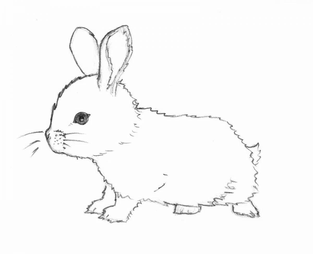 Snuggly coloring page little rabbits
