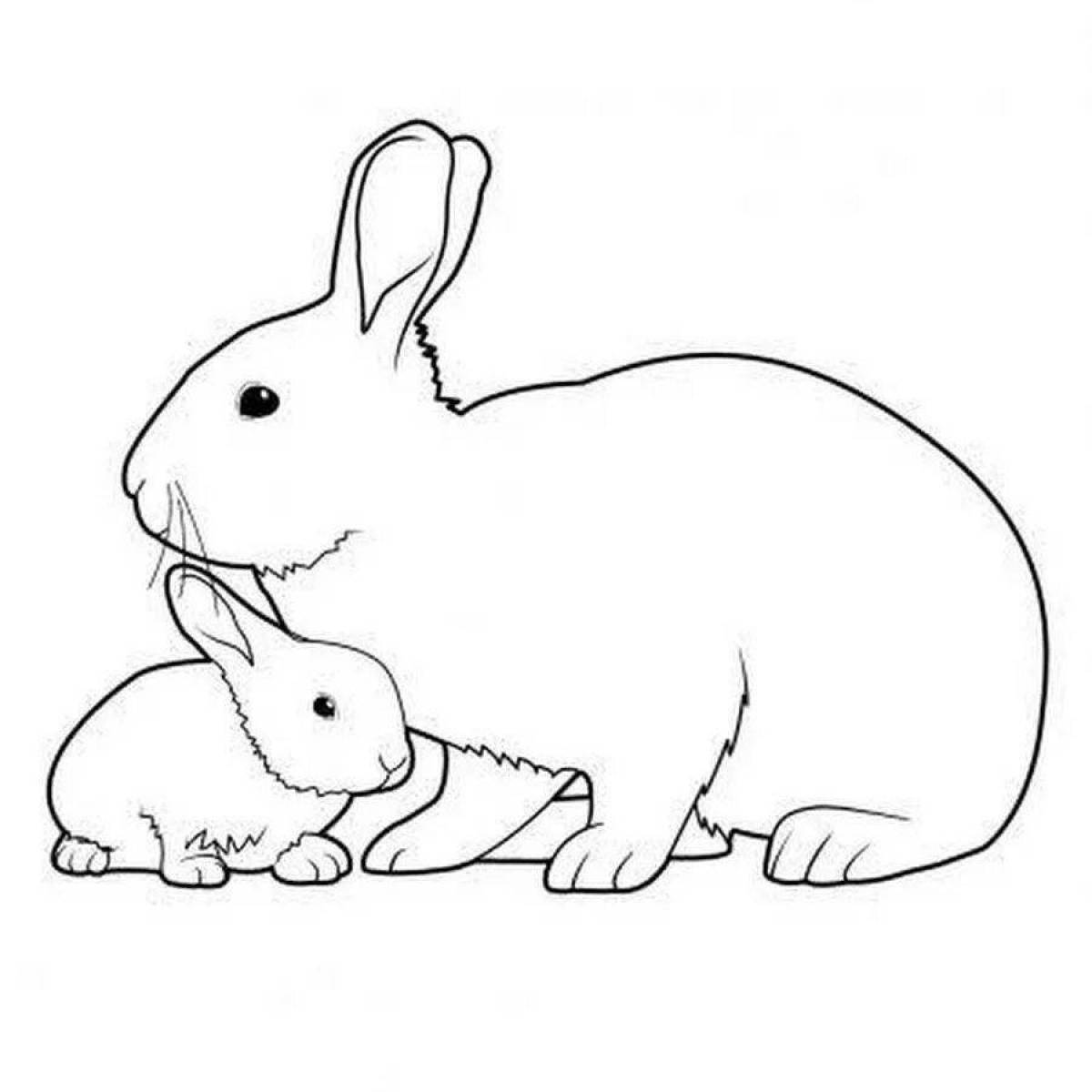 Little rabbits #9
