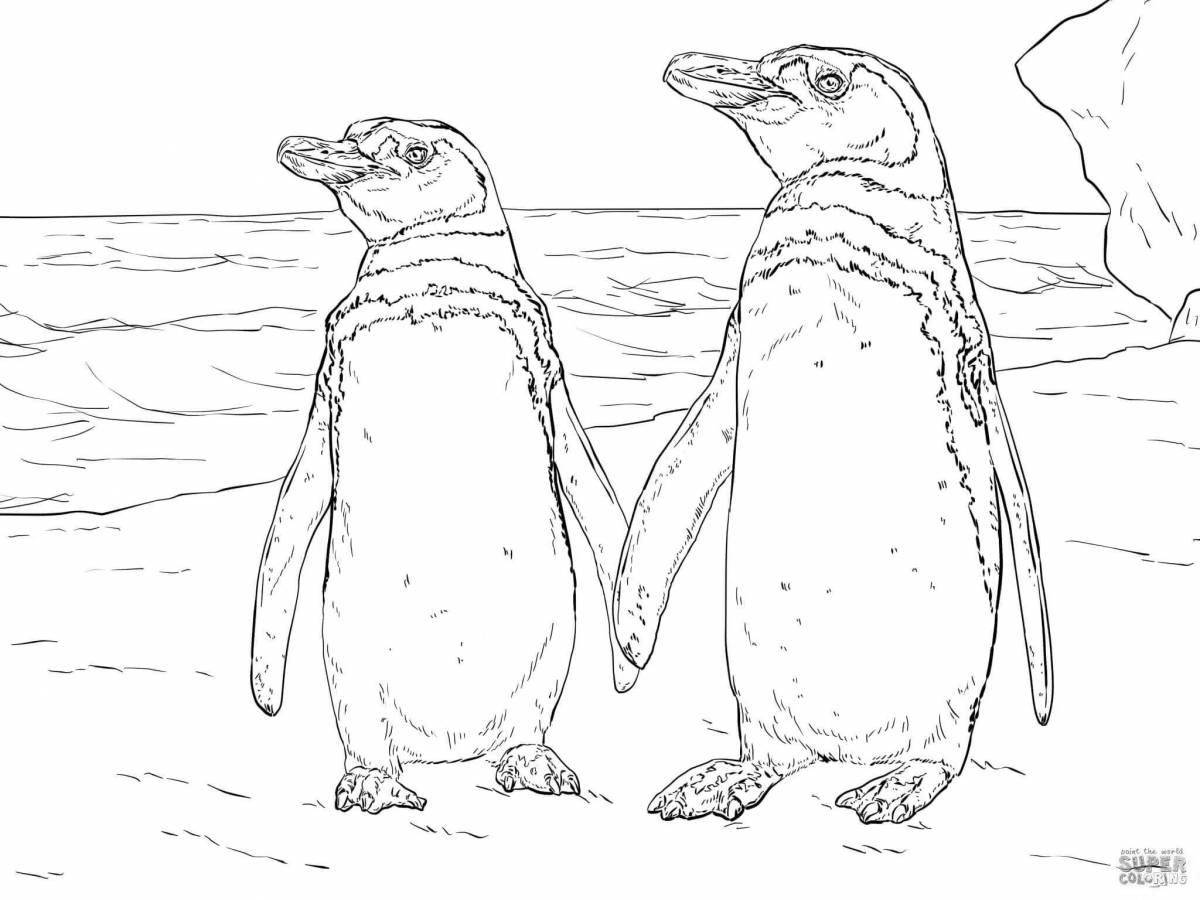 Буйные пингвины антарктиды