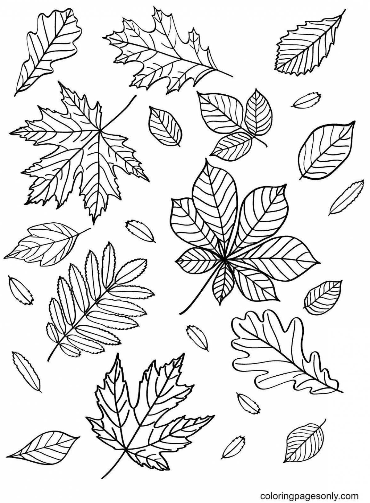 Изысканная раскраска «много листьев»