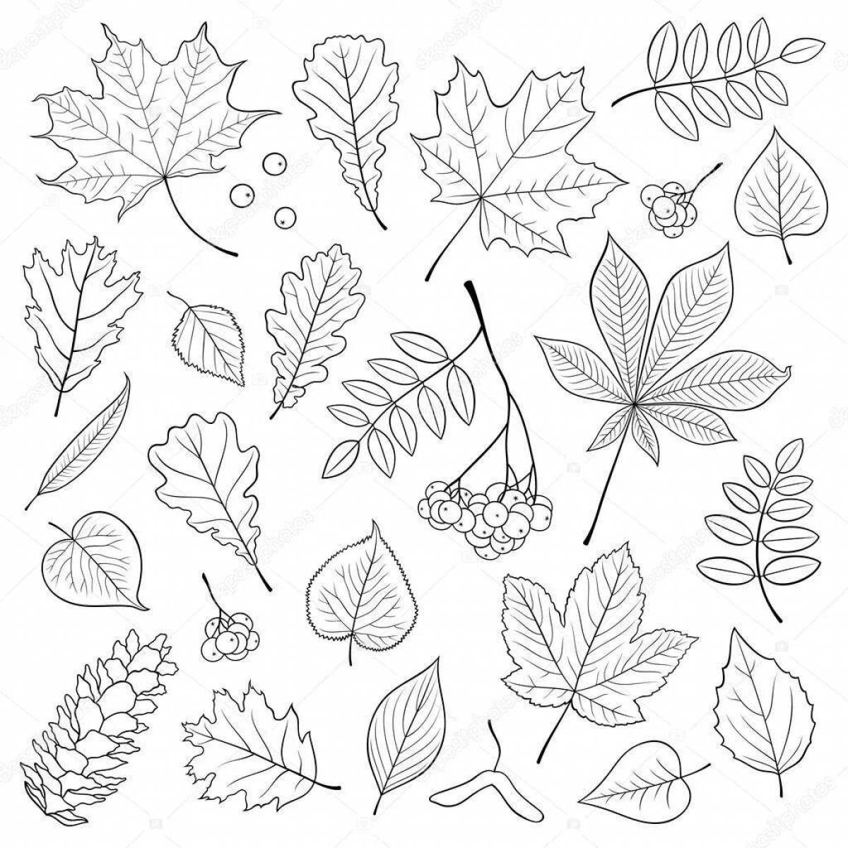 Великолепная страница раскраски с множеством листьев