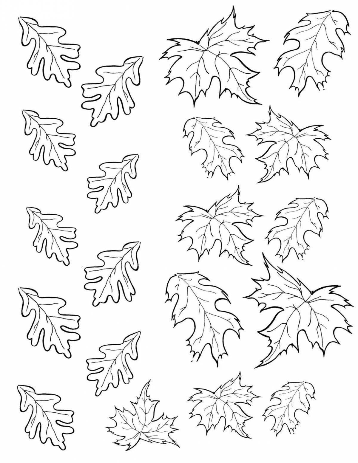 Bright multi-sheet coloring pages