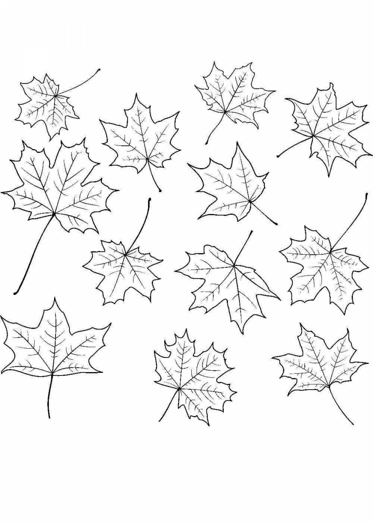 Coloring many leaves