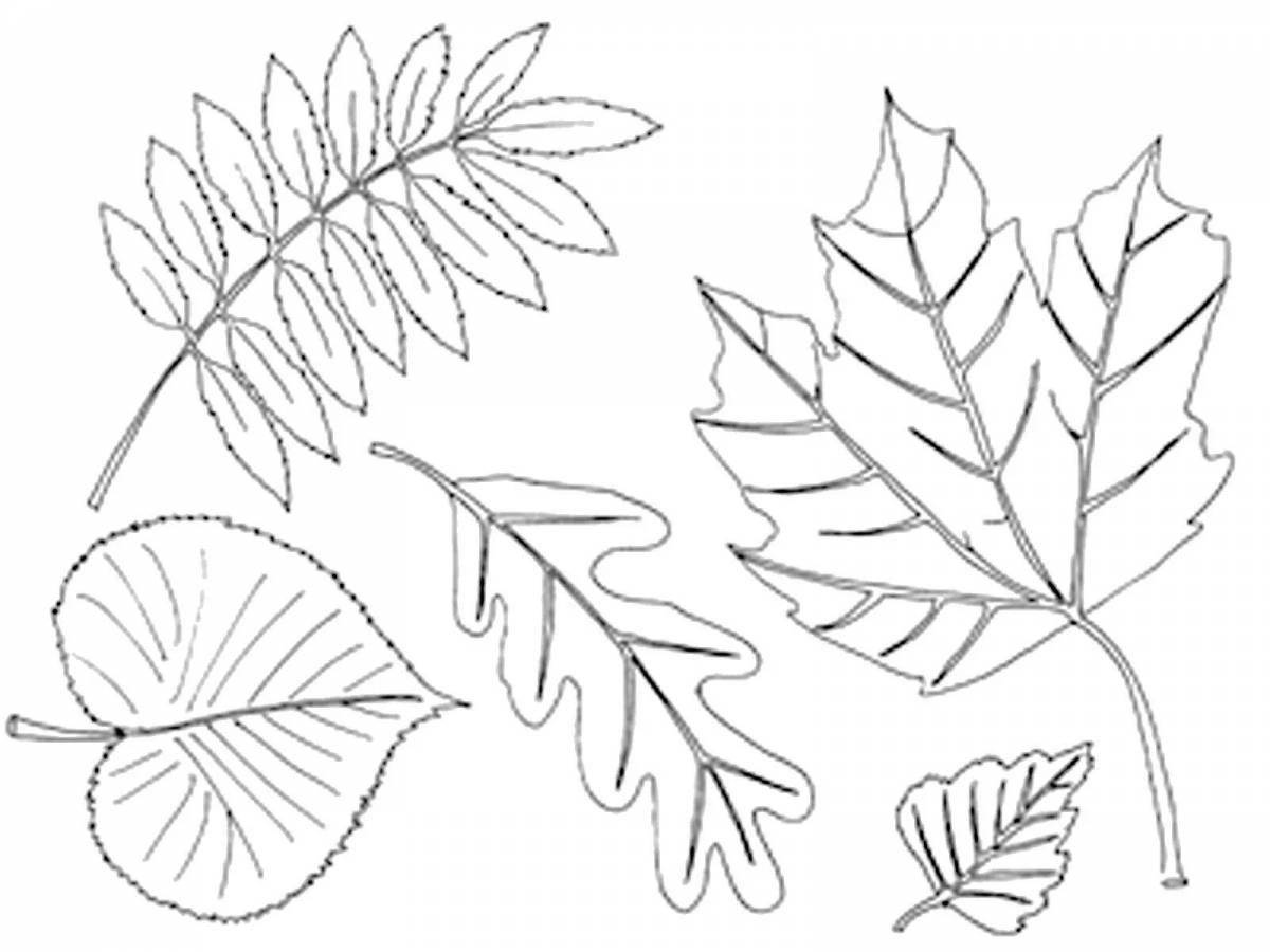 Привлекательная раскраска «много листьев»