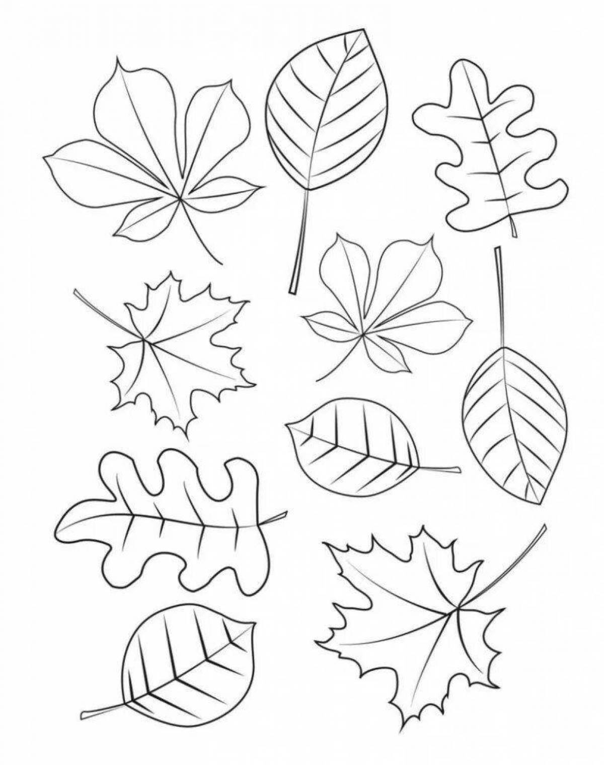 Раскраска экзотических листьев