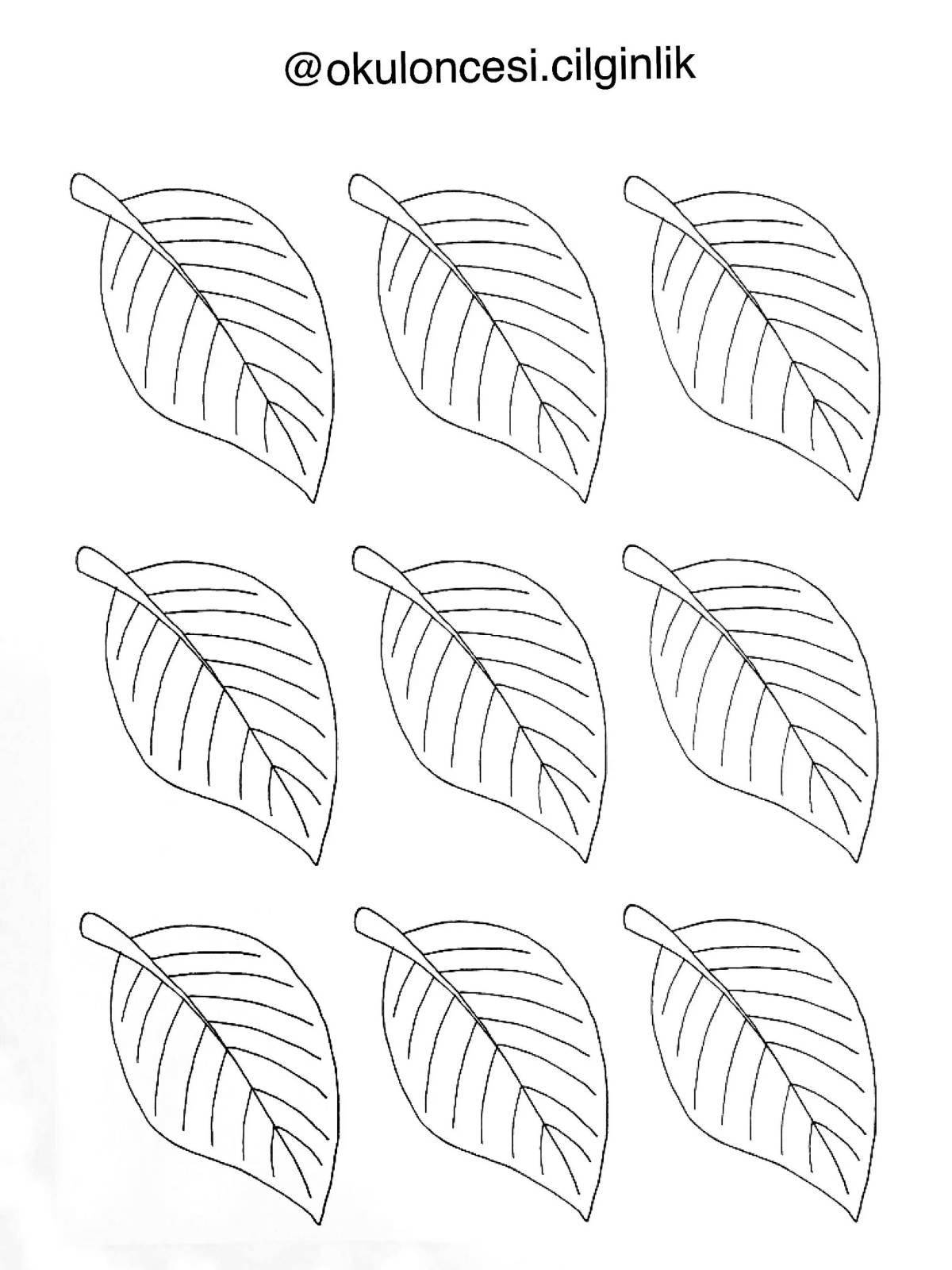 Coloring book fabulous many leaves