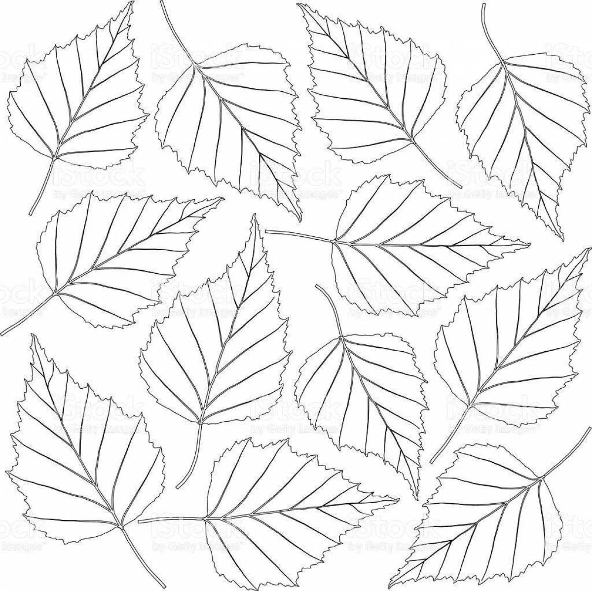 Beautiful leaf coloring page