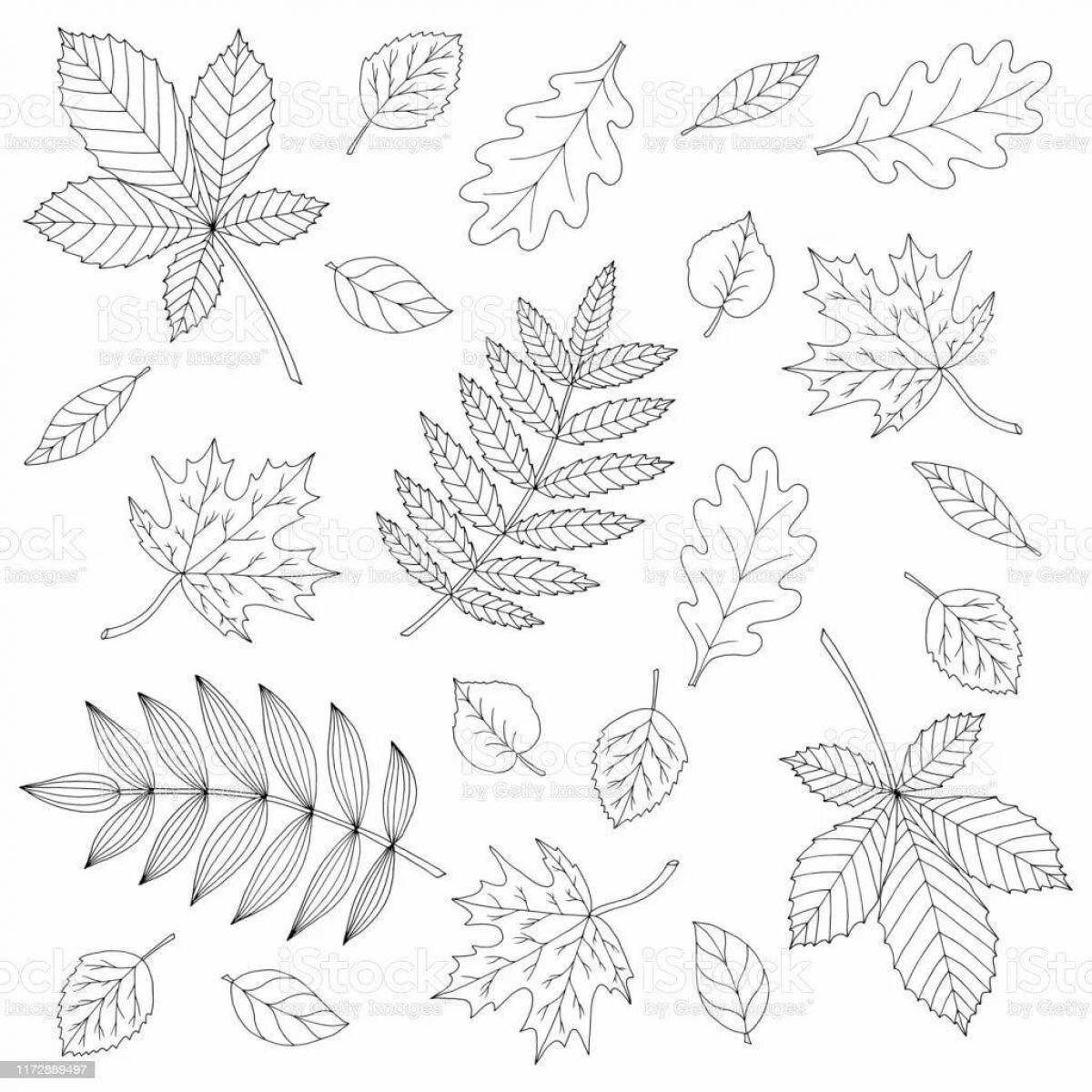 Очаровательная страница раскраски листьев