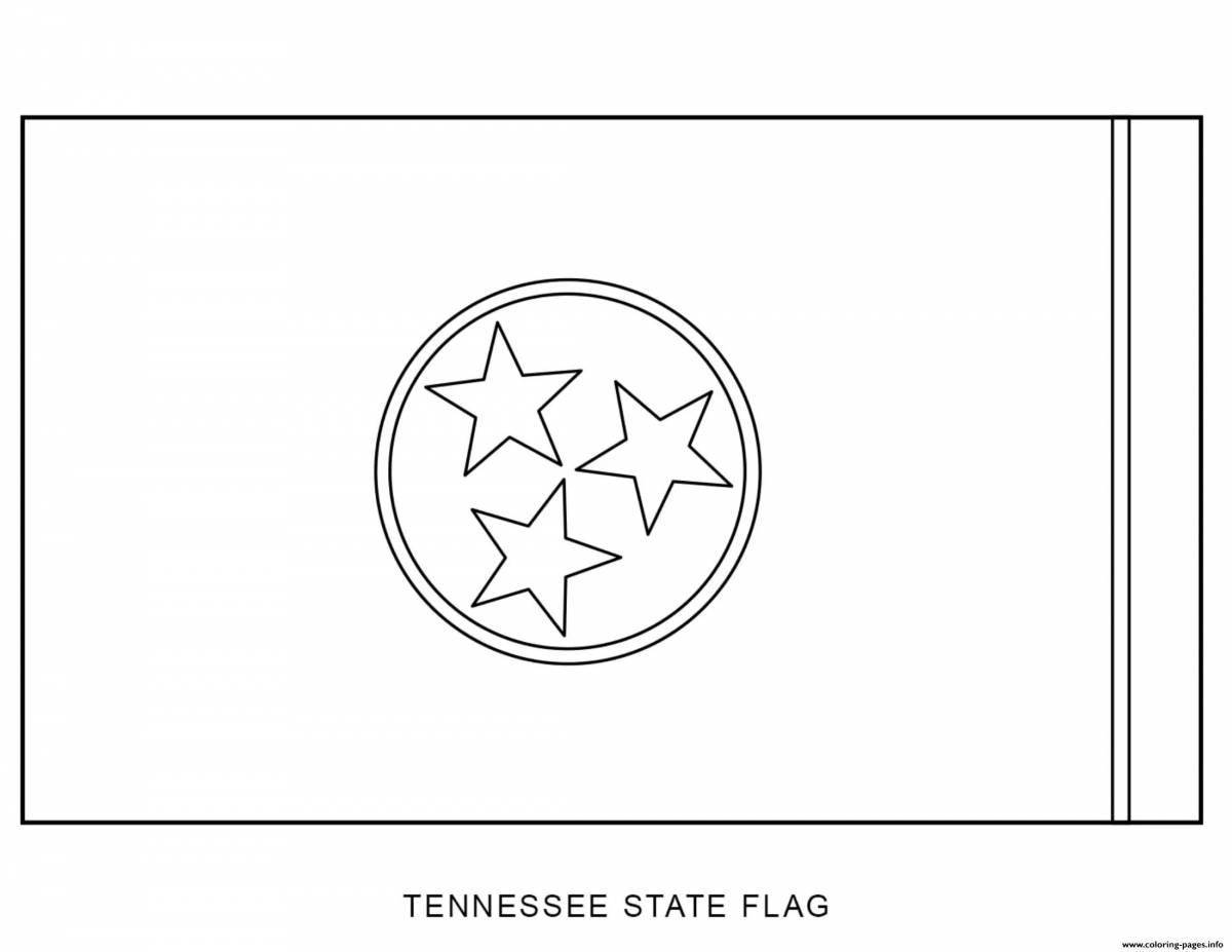 Majestic European flags coloring page