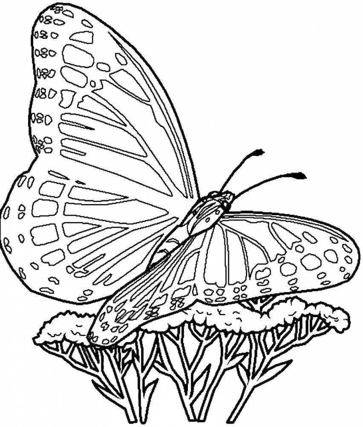 Радостная бабочка-раскраска